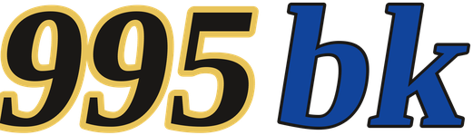 995bk logo